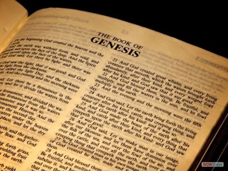 Genesis Tell Us About a Creator